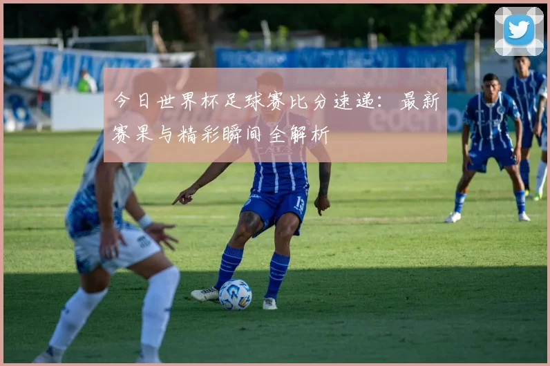 今日世界杯足球赛比分速递：最新赛果与精彩瞬间全解析
