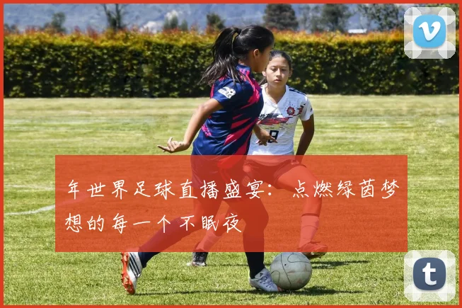 年世界足球直播盛宴：点燃绿茵梦想的每一个不眠夜
