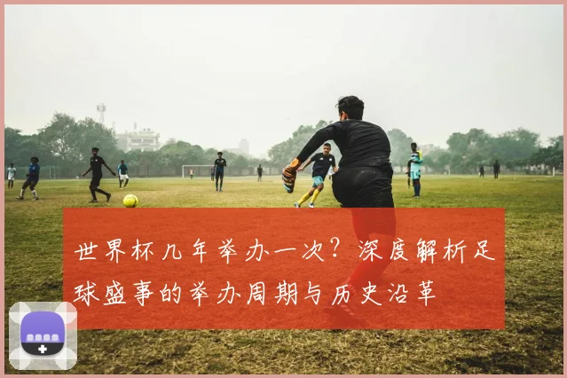 世界杯几年举办一次?深度解析足球盛事的举办周期与历史沿革